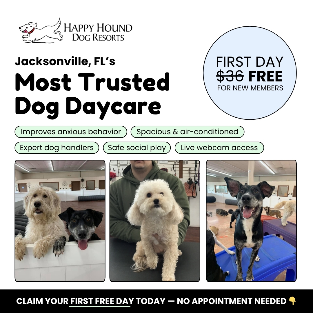 Daycare With Peace of Mind