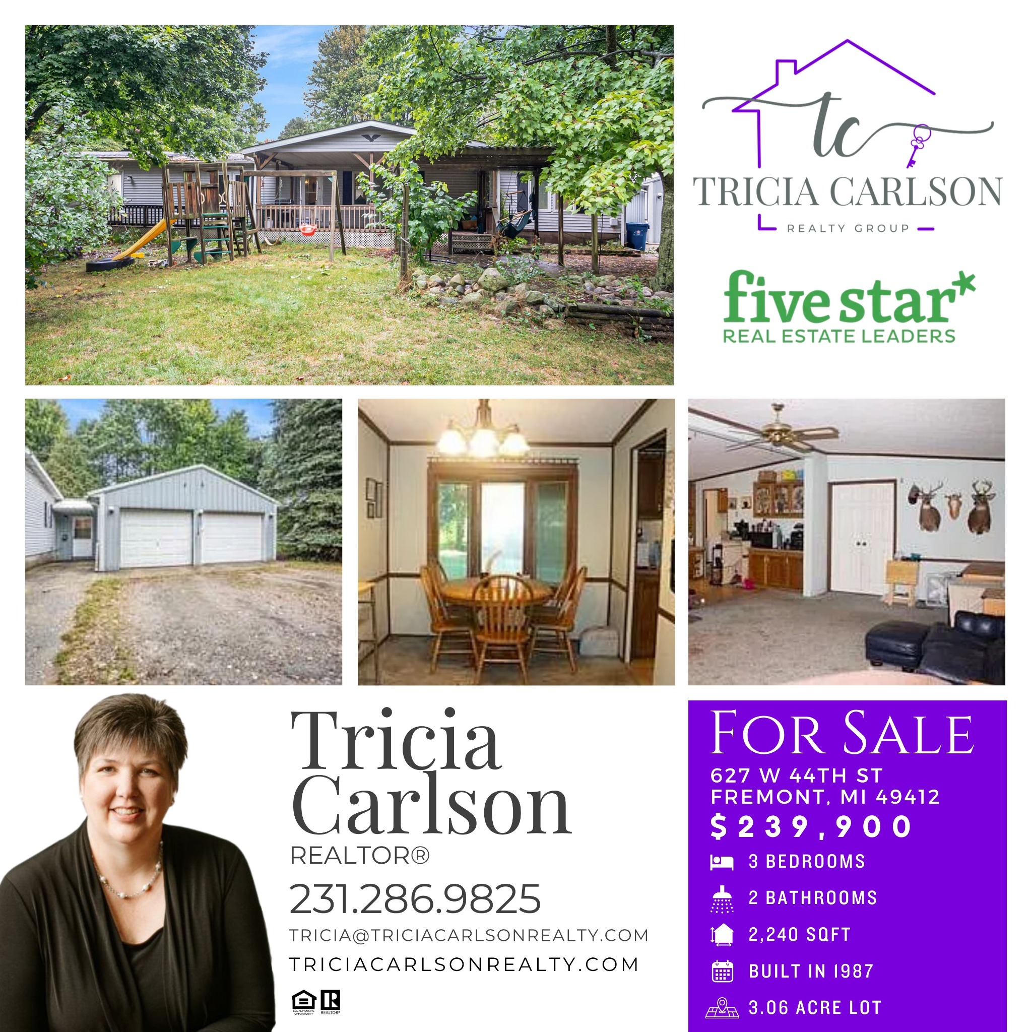 Tricia Carlson Real Estate Real Estate Agent ad creative