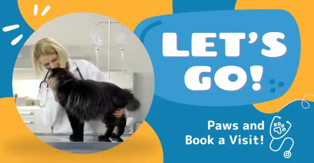 San Juan Animal Hospital Veterinarian ad creative