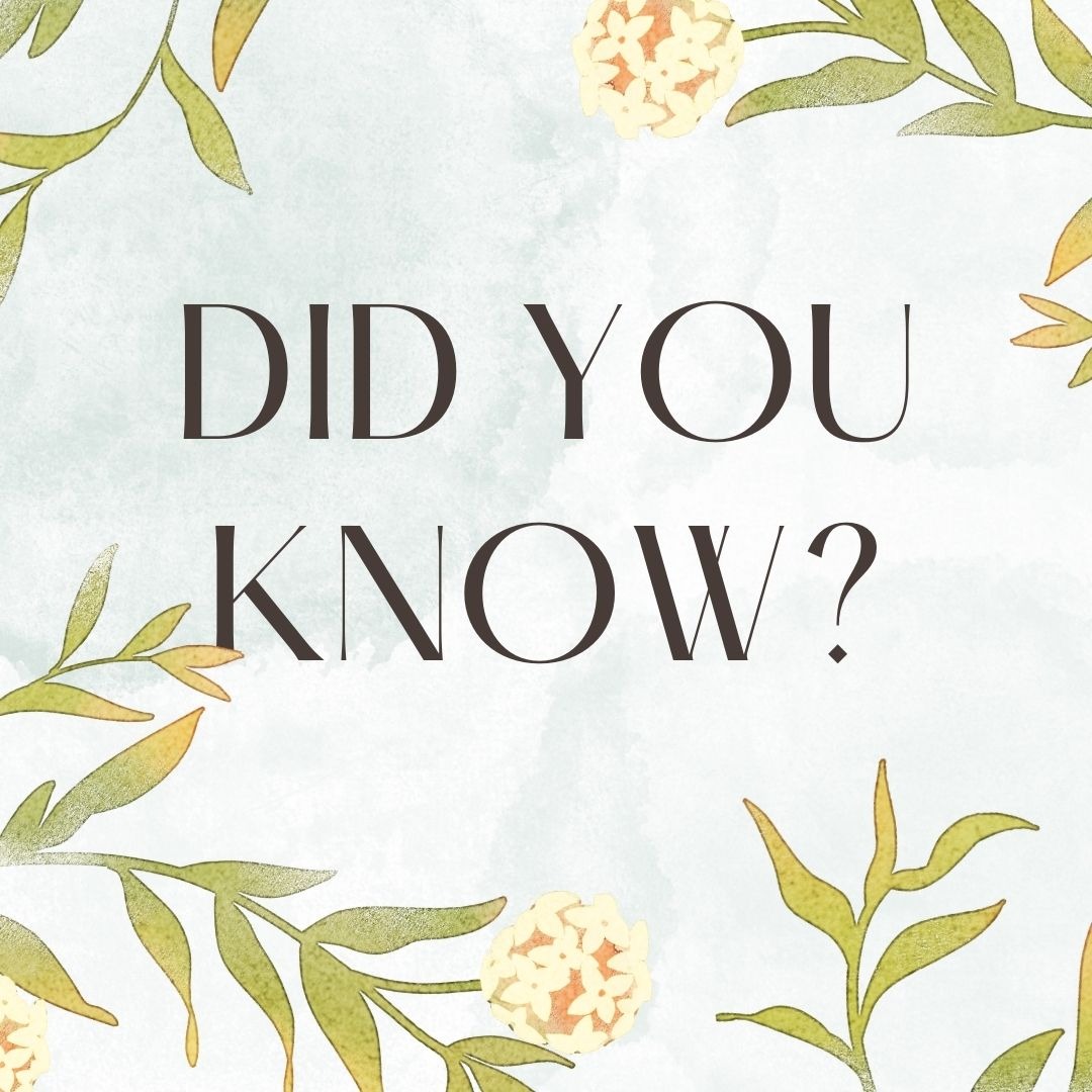 Free Pre-planning Guide