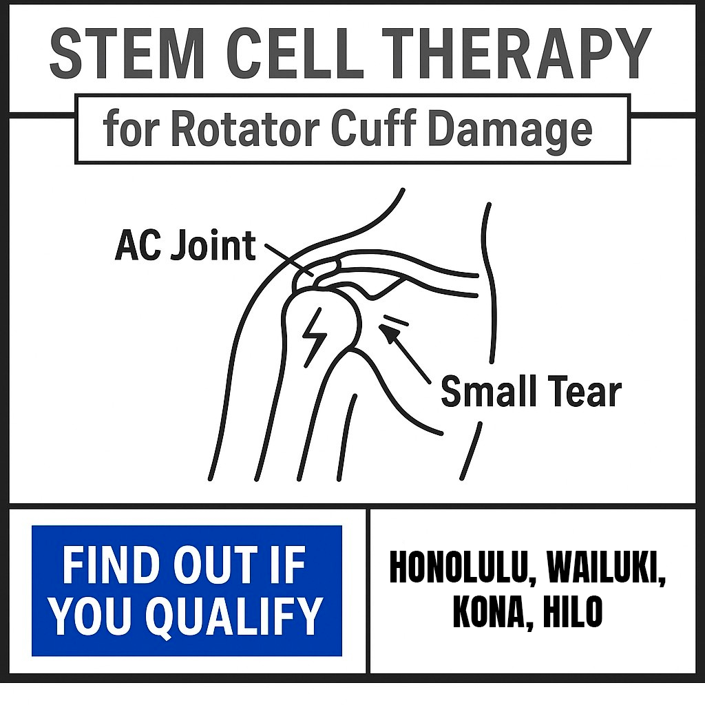 Hawaii Wellness Clinic Chiropractor ad creative