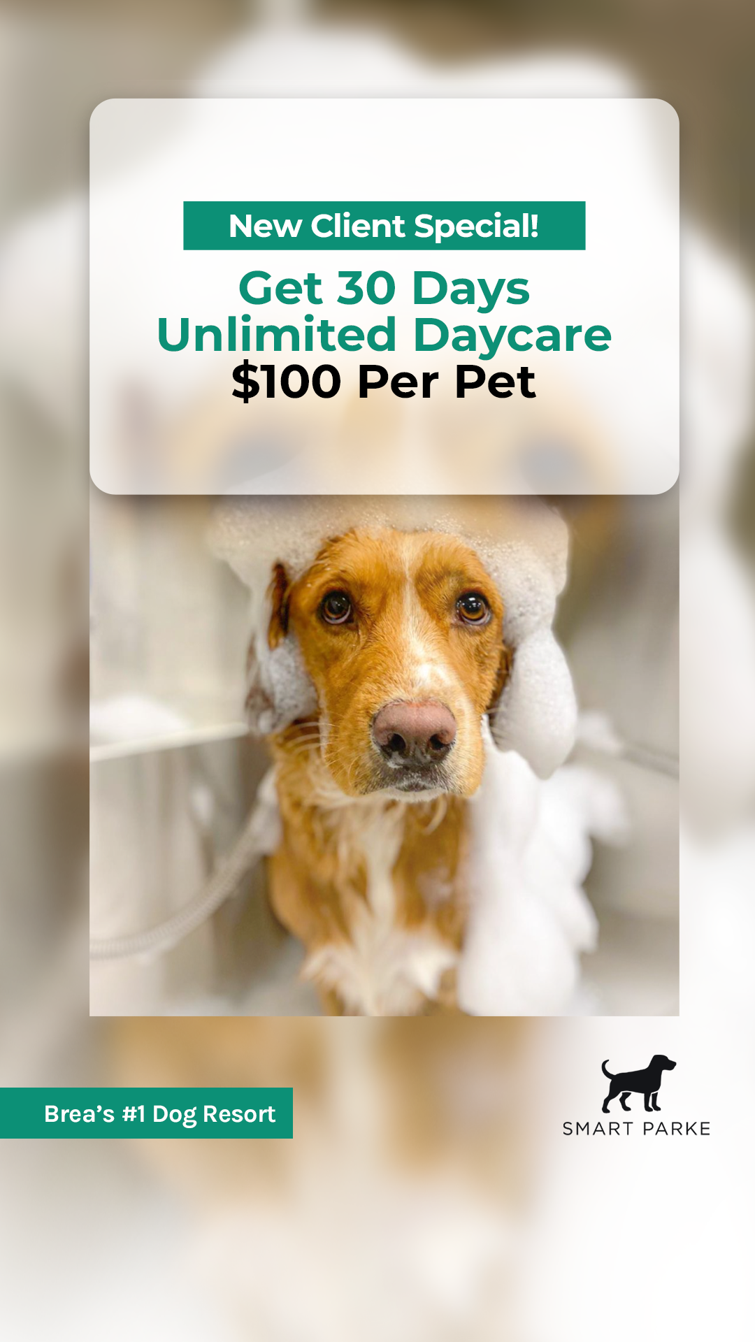 New Client Special: 30 Days Unlimited Daycare