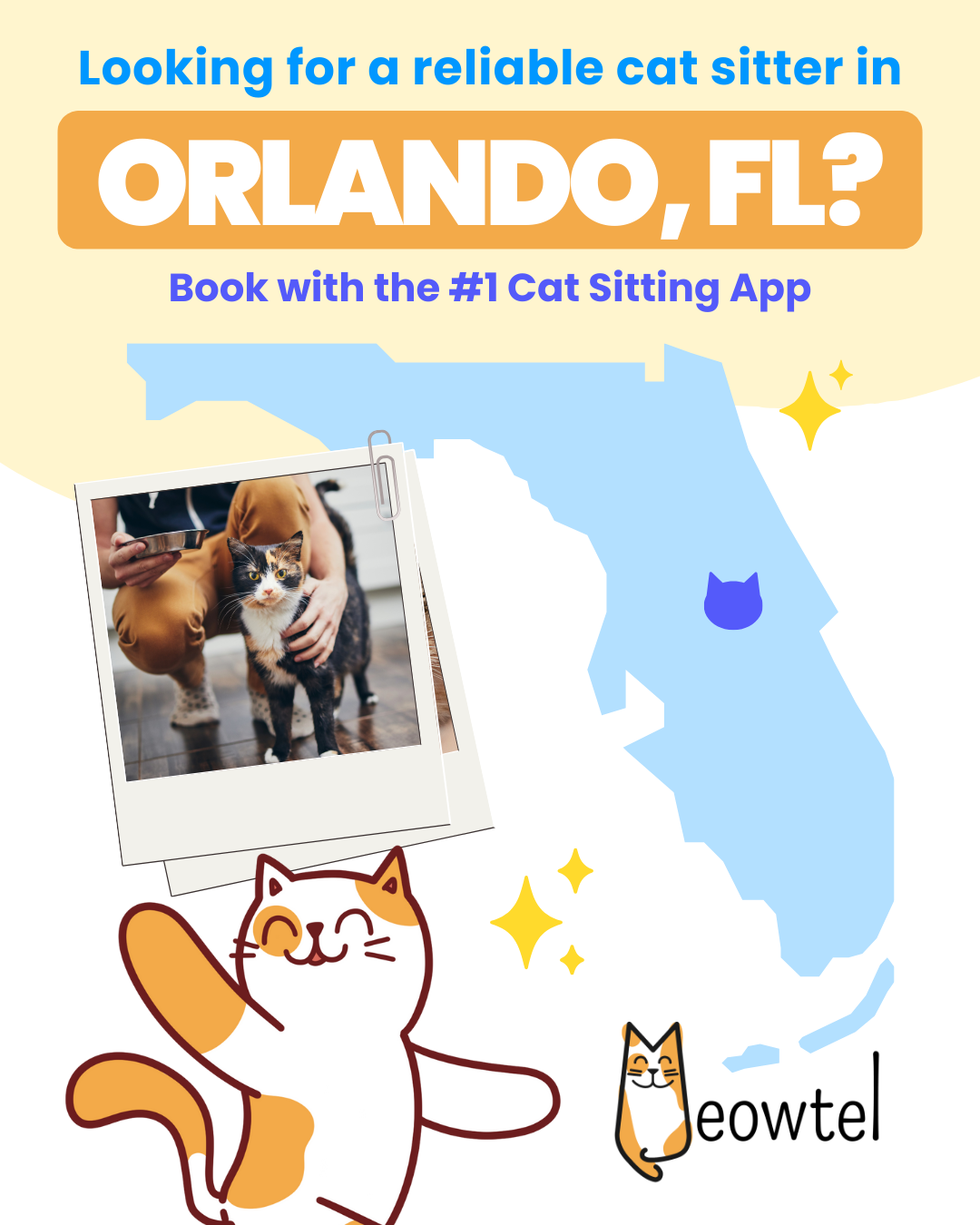 Find a loving cat sitter now