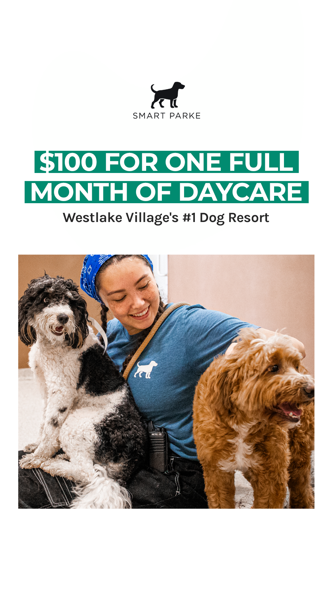 Smart Parke Pet Boarding ad creative