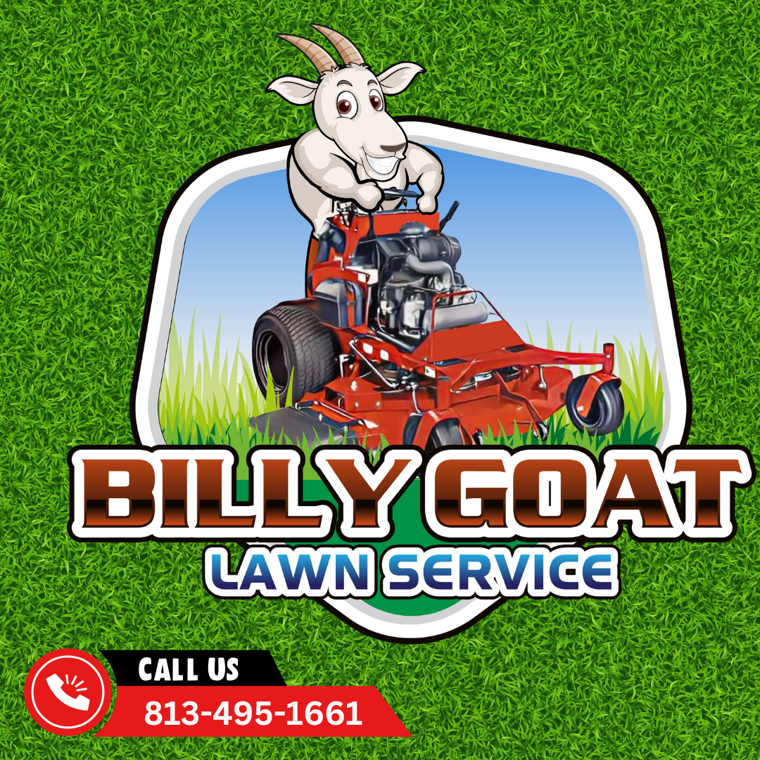 Your Lawn’s Getting a Little Ba-a-ad?