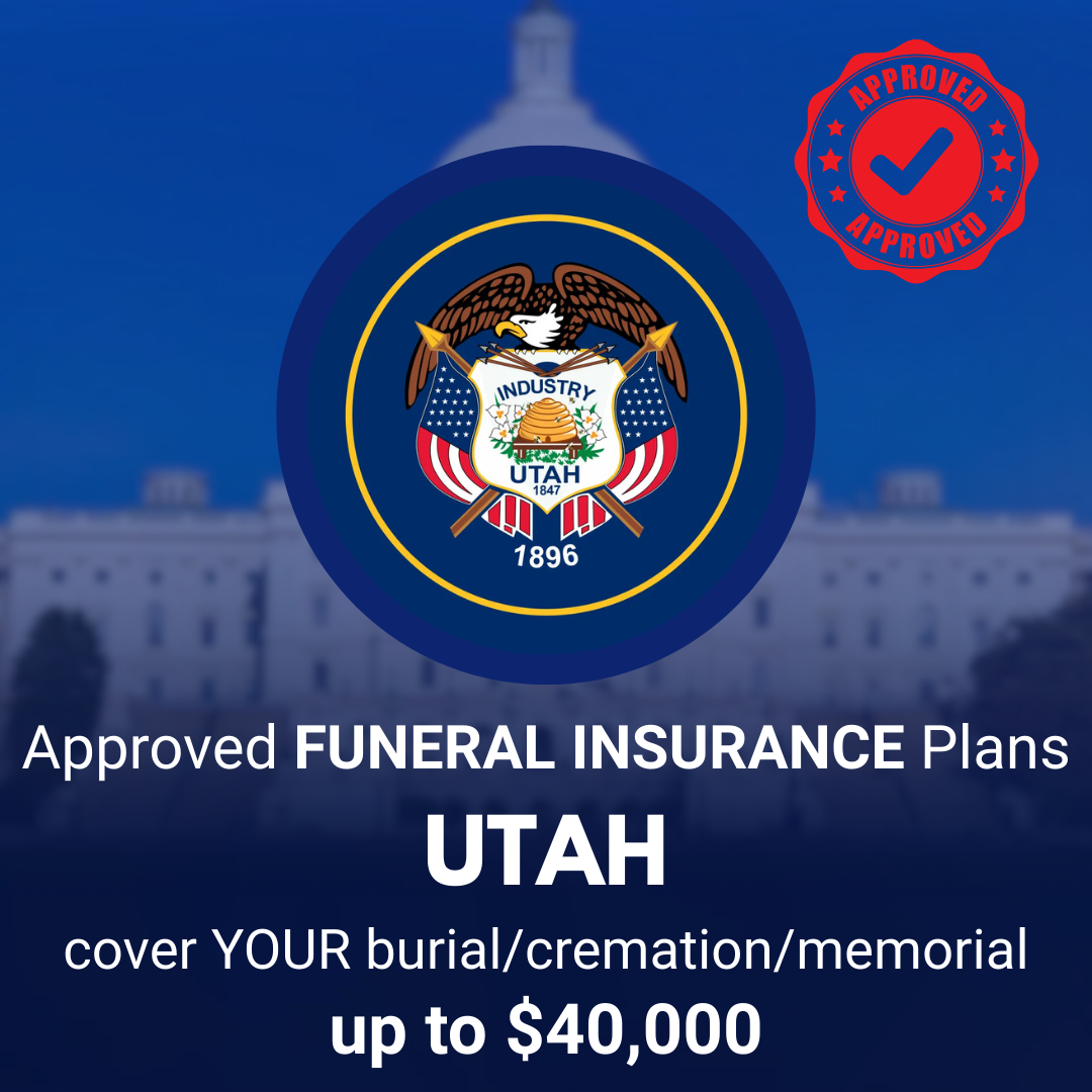 USA Insurance Services Insurance Agent ad creative