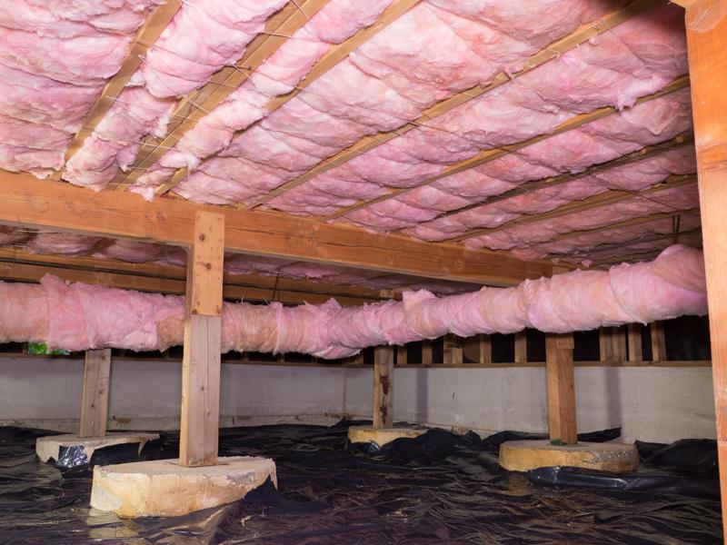 American Crawlspace And Pest Services Pest Control ad creative