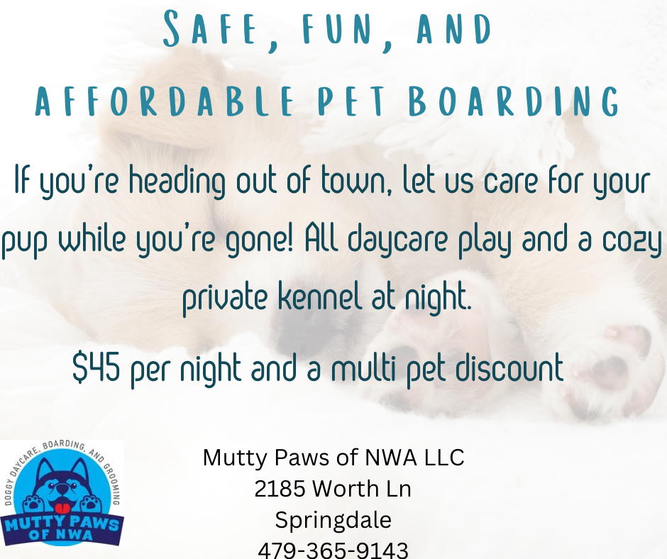 Boutique Style Dog Boarding at Affordable Price!