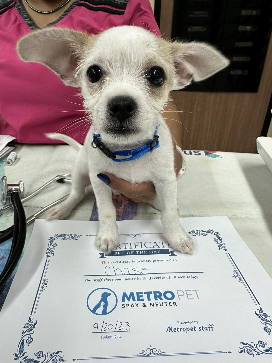Metro Pet Spay & Neuter