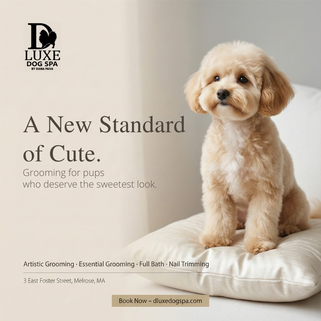 Request Your Grooming Appointment