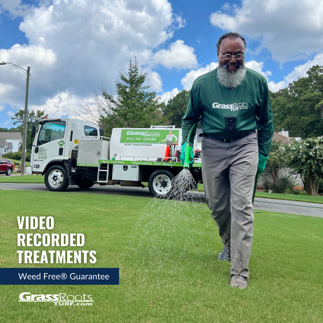 Video-Recorded Treatments