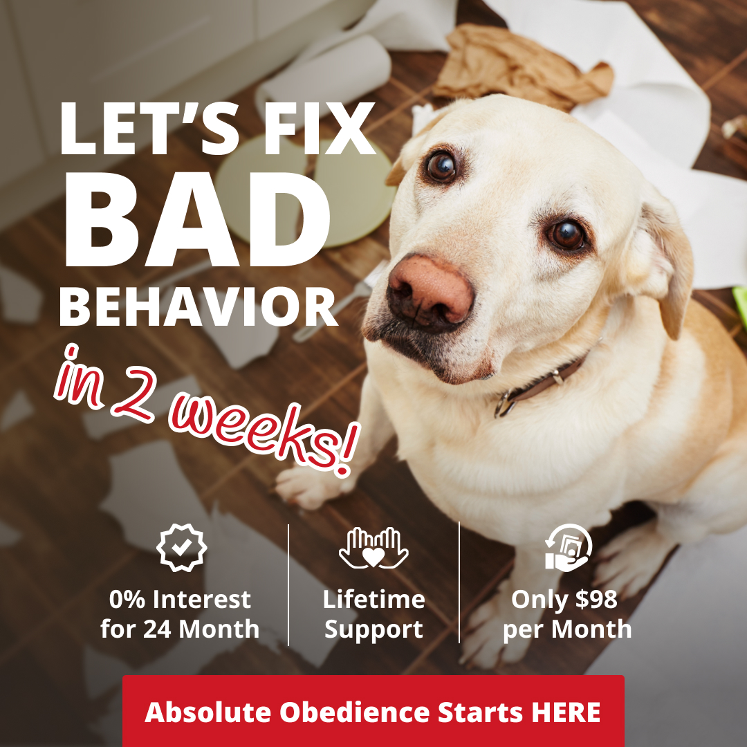 Start the 2-Week Training