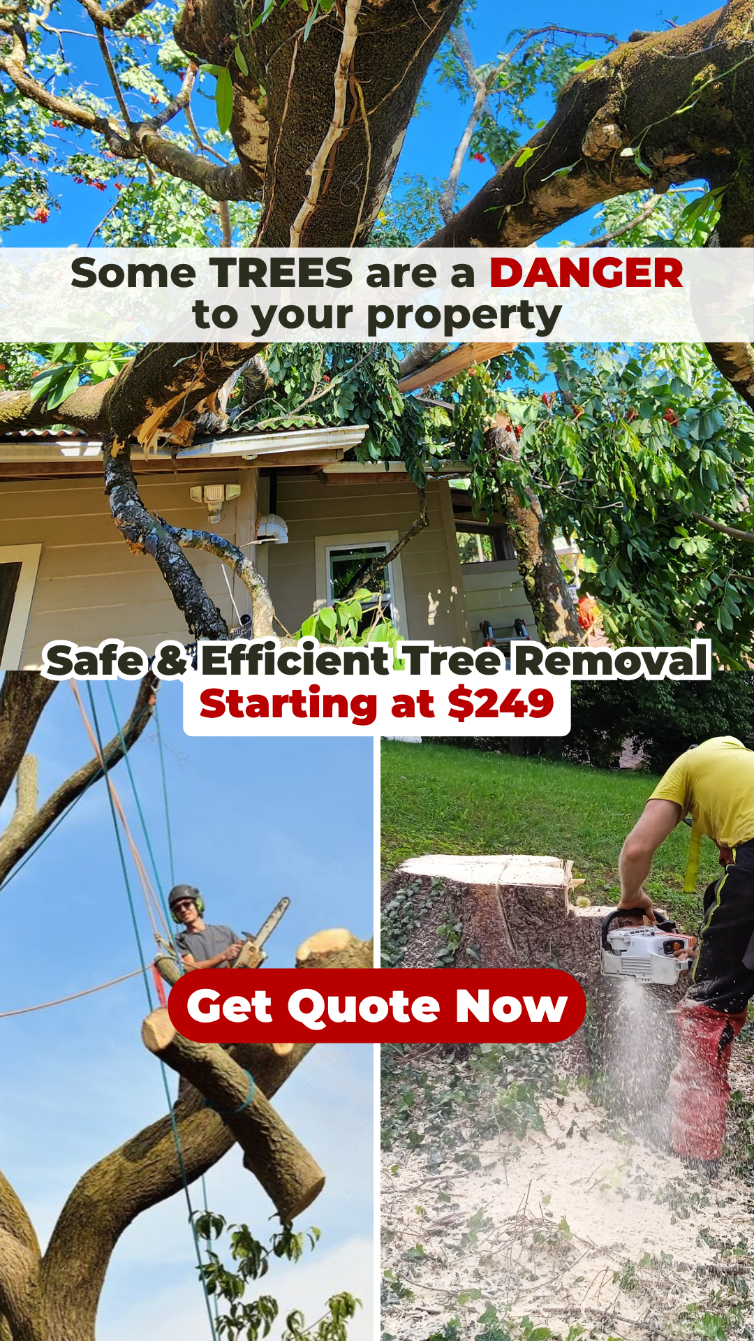 Tree Removal: Starting at $249