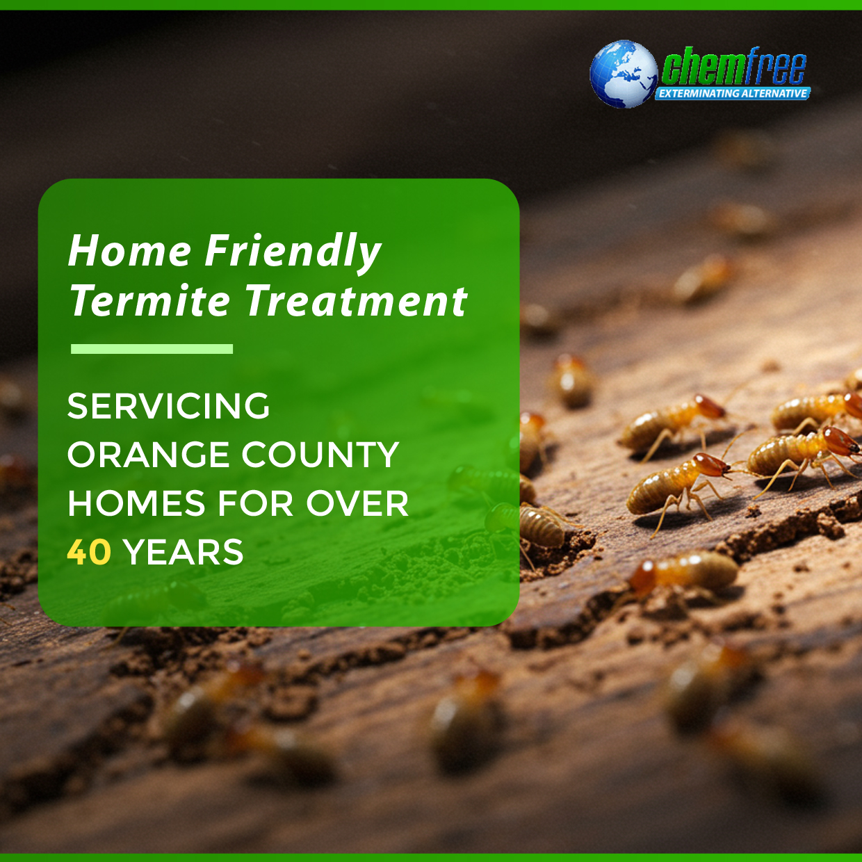 Free Termite Inspection + $200 Off Services