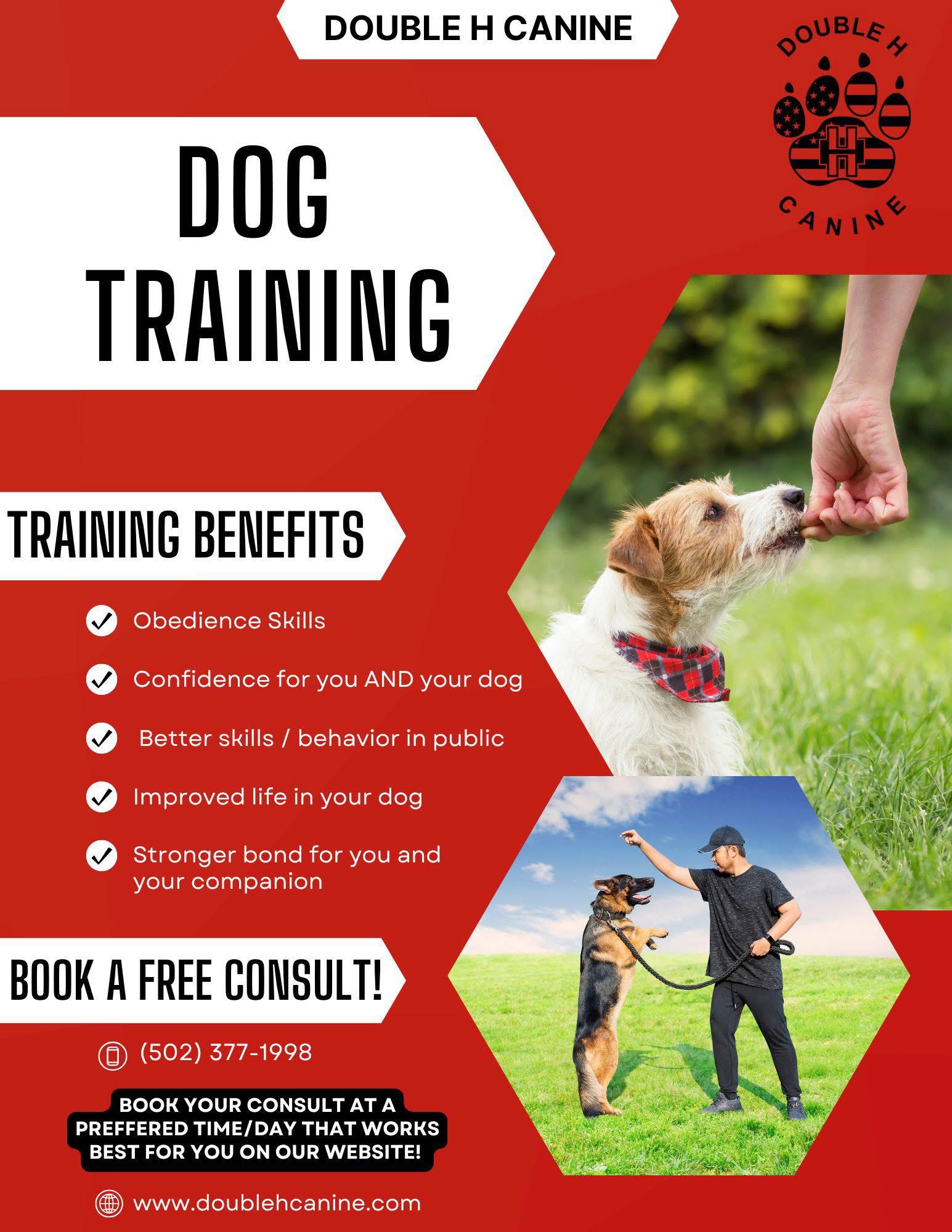Personalized Dog Training