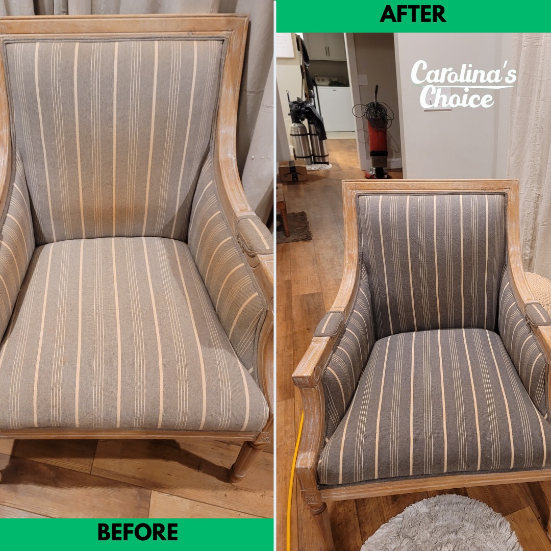 Pet Stains on Your Furniture? Let Us Take Care of It!