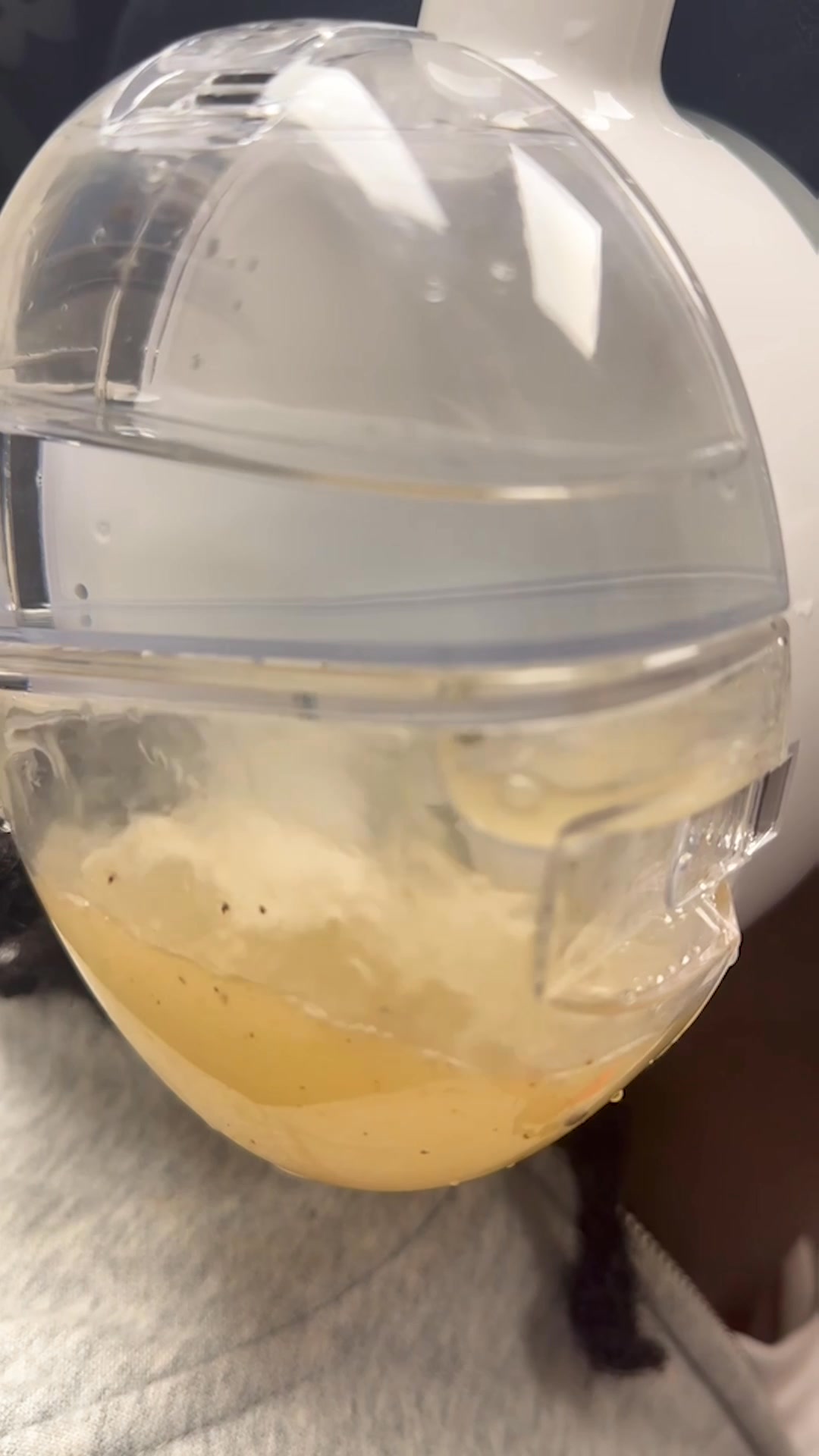 All Ears Ear Care Studios - Powered by OtoSet Hearing / Audiology ad creative