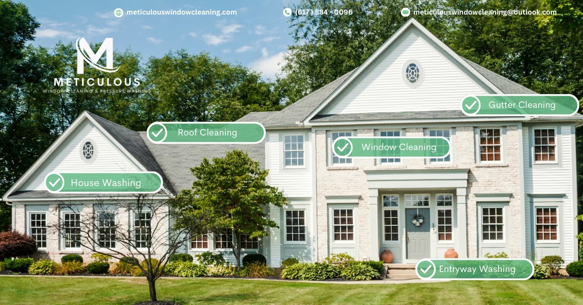 Meticulous Window Cleaning & Pressure Washing