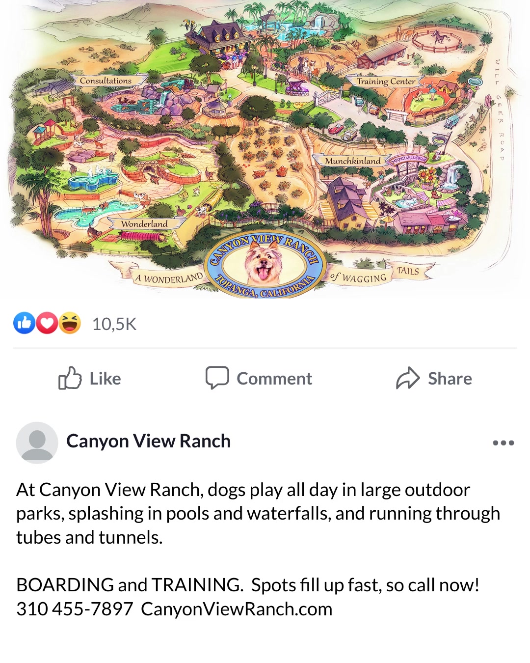 Canyon View Ranch Dog Training ad creative