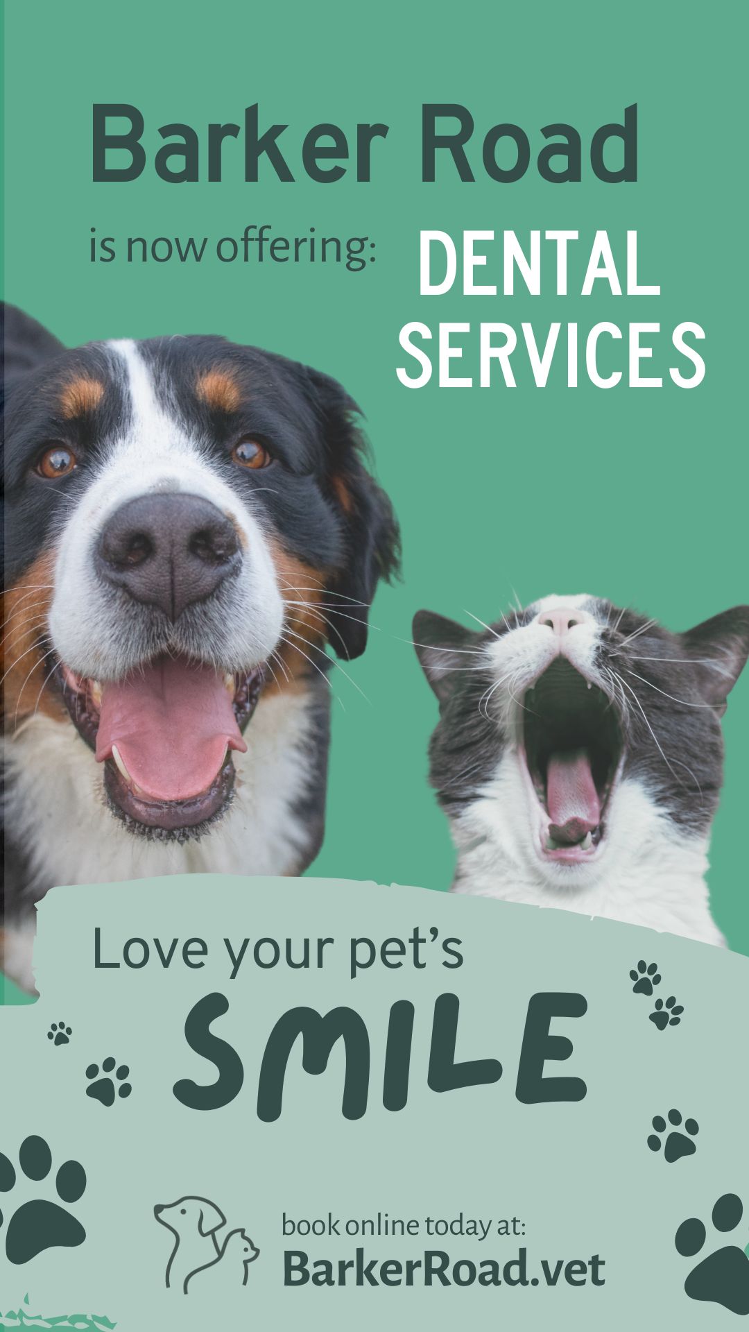 Happy Smiles & Sweet Kisses