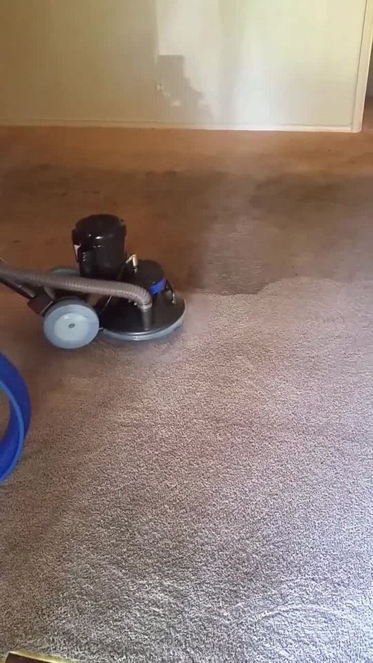 Joe's Carpet Cleaning and Moving Carpet Cleaning ad creative