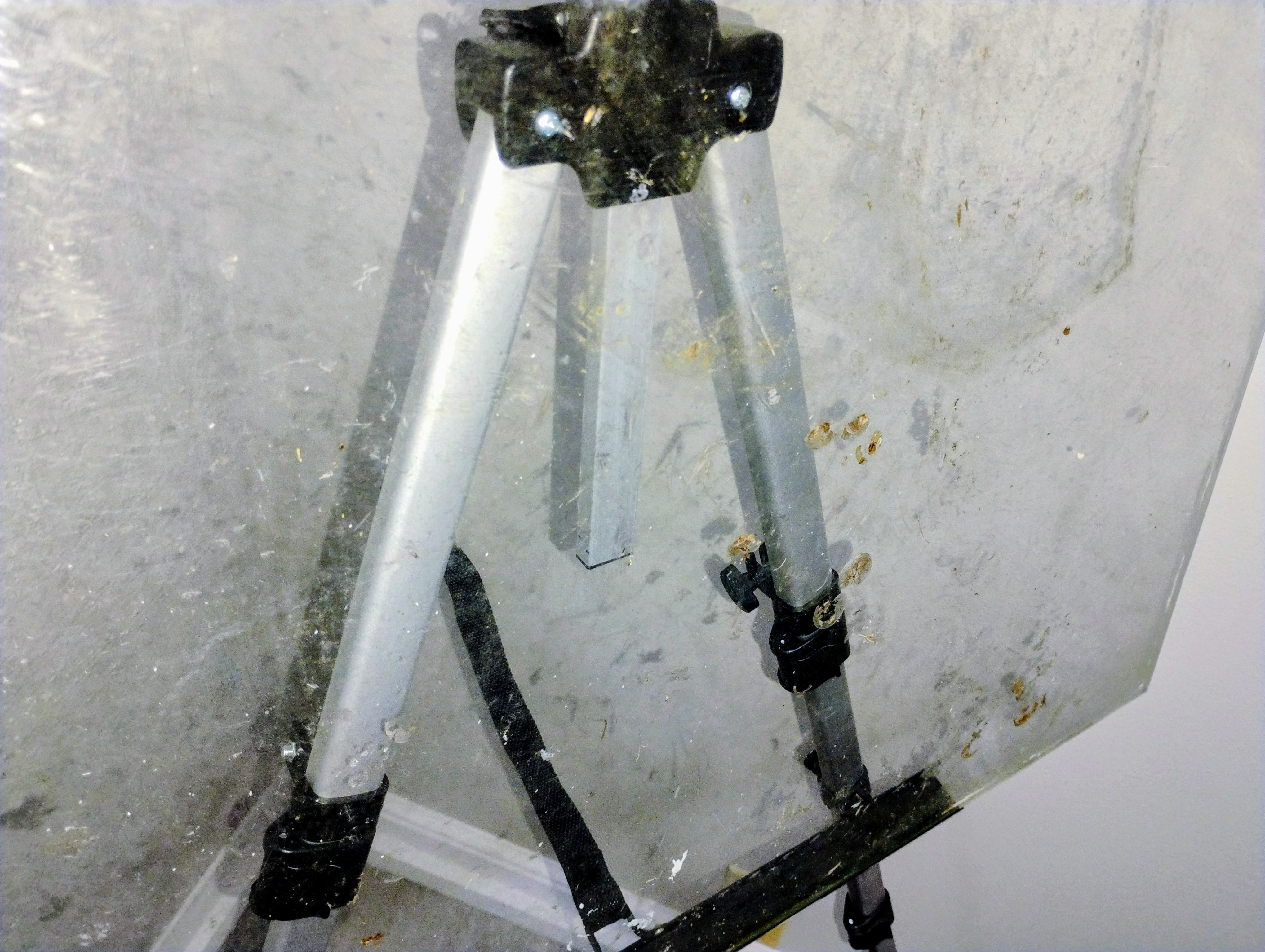 Chip's Window Cleaning