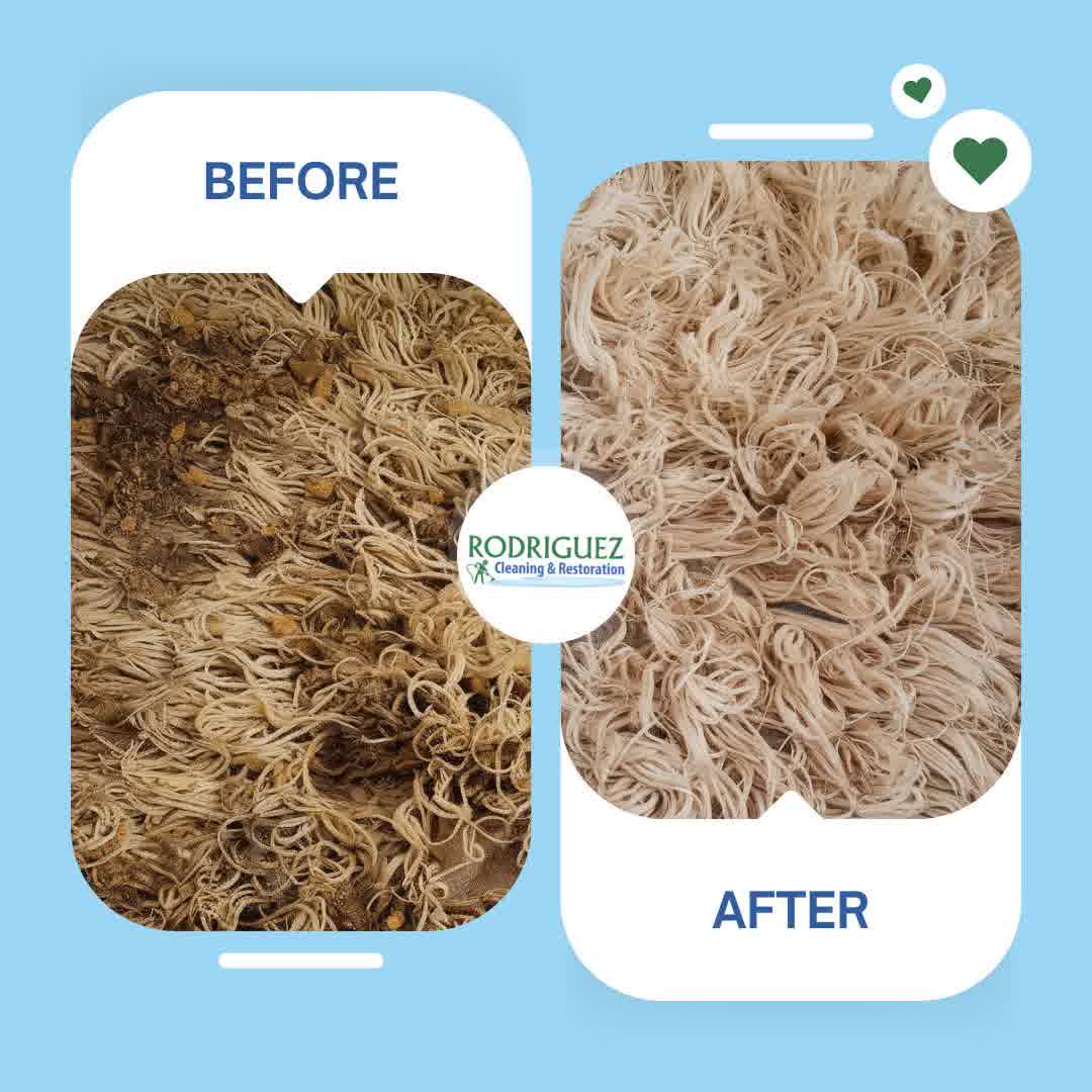 Rodriguez Cleaning Services