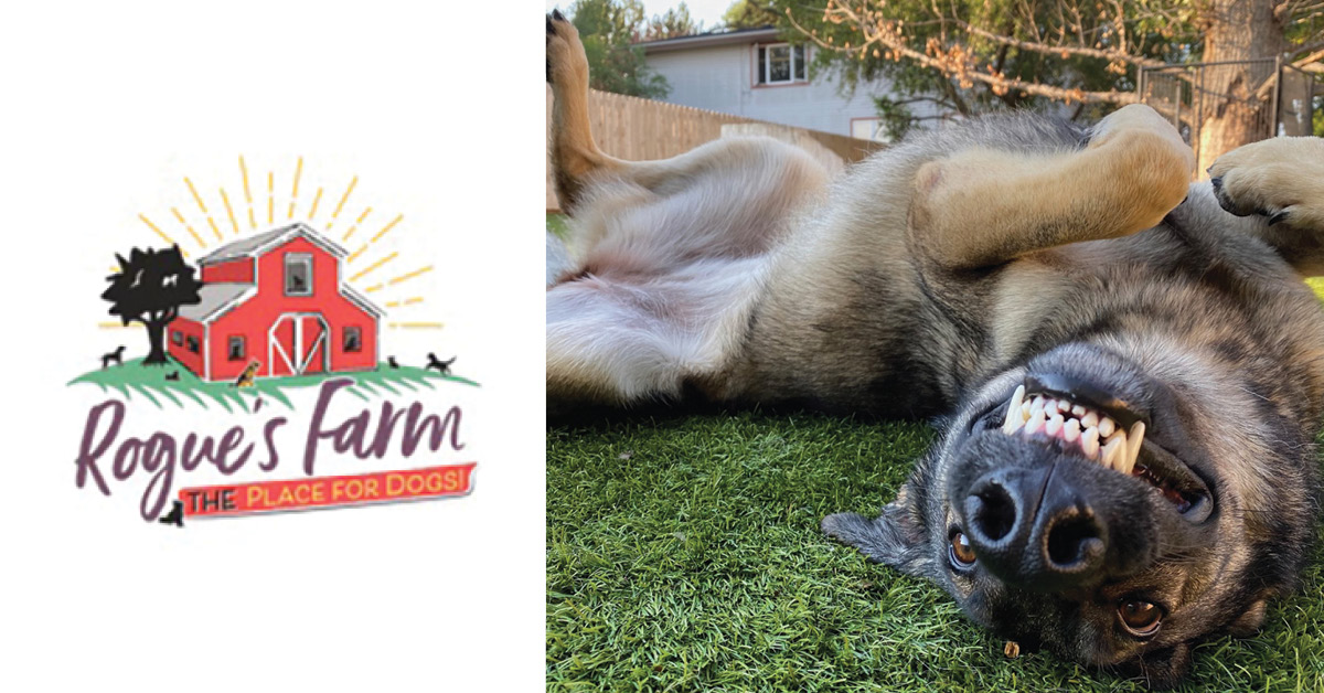 Book Your  Pup's Stay Today!