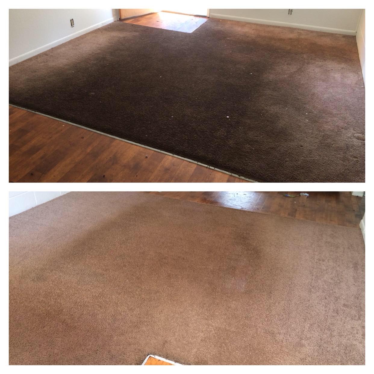 Top Tier Carpet Cleaning, LLC