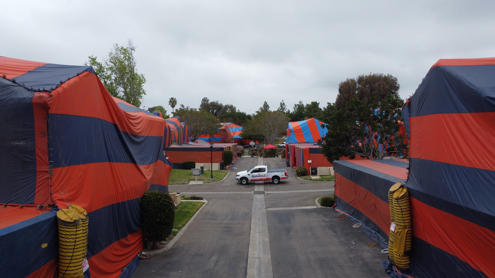 Major League Pest Pest Control ad creative