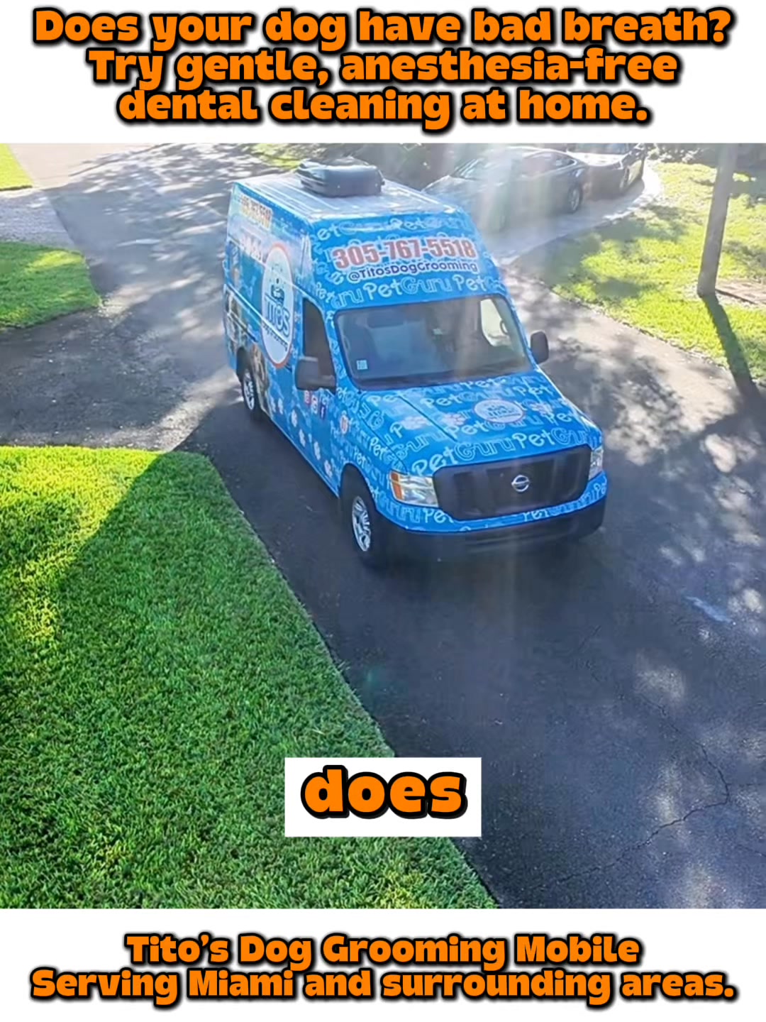 Tito's Dogs Grooming Pet Grooming ad creative