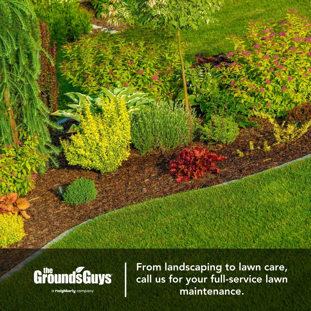 Leave the Yard Work to Us