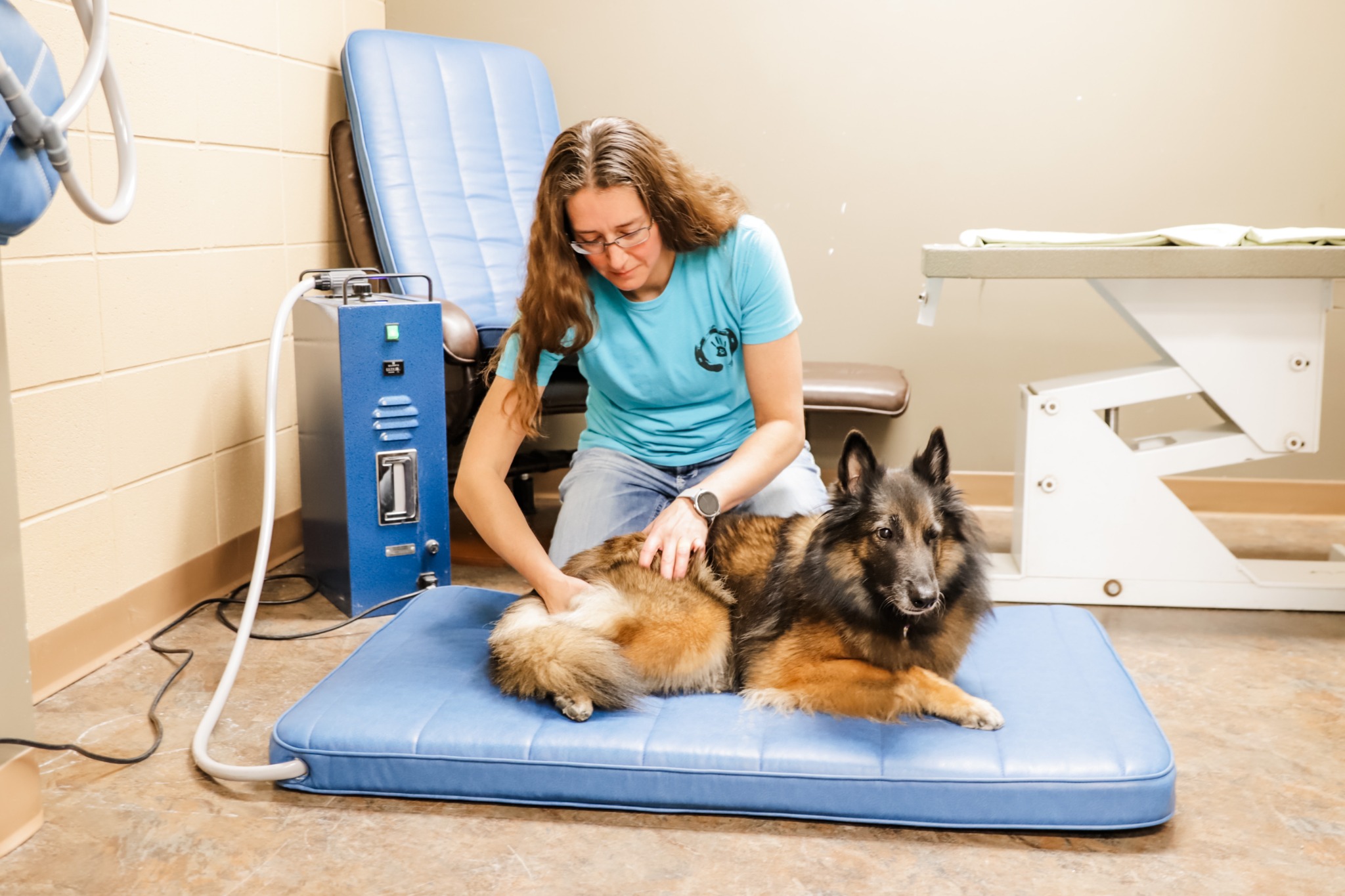 Groomingdale's Salon&Paw-tique