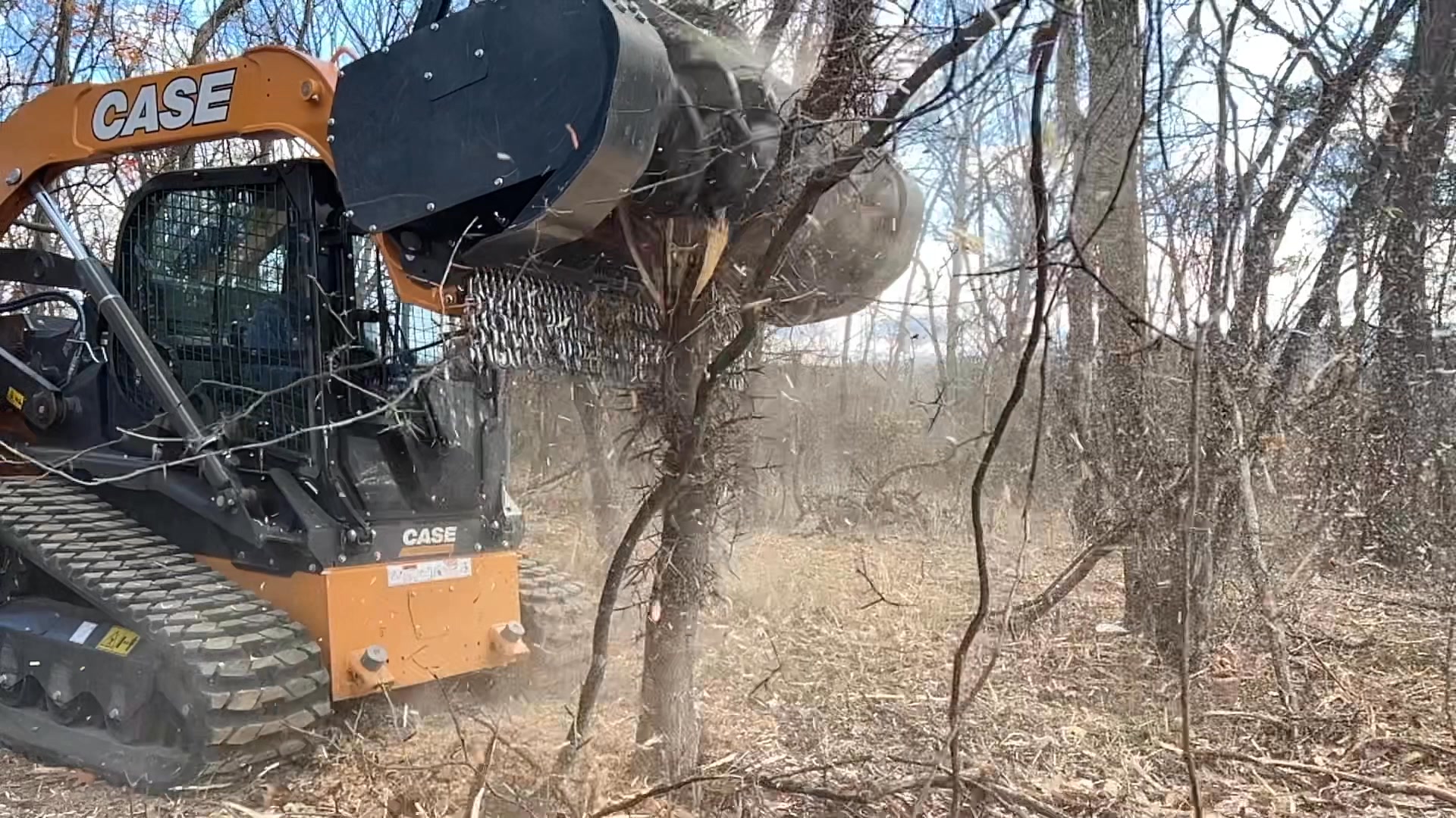 Slash Brush Fast -- Free Quote in 48 Hours!