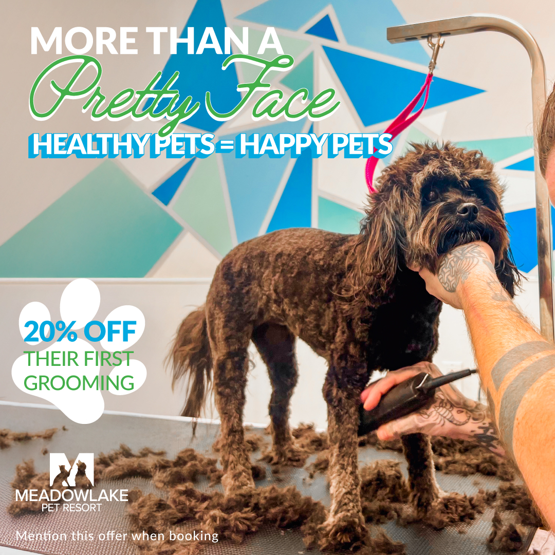 Healthy Skin + Shiny Coat = Happy Dog