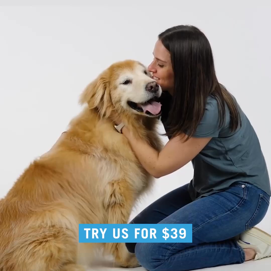 Care They Feel, Price You’ll Love