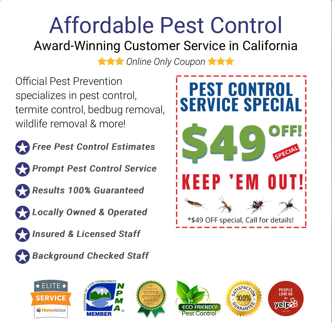Bug-Free Home, $49 Offer