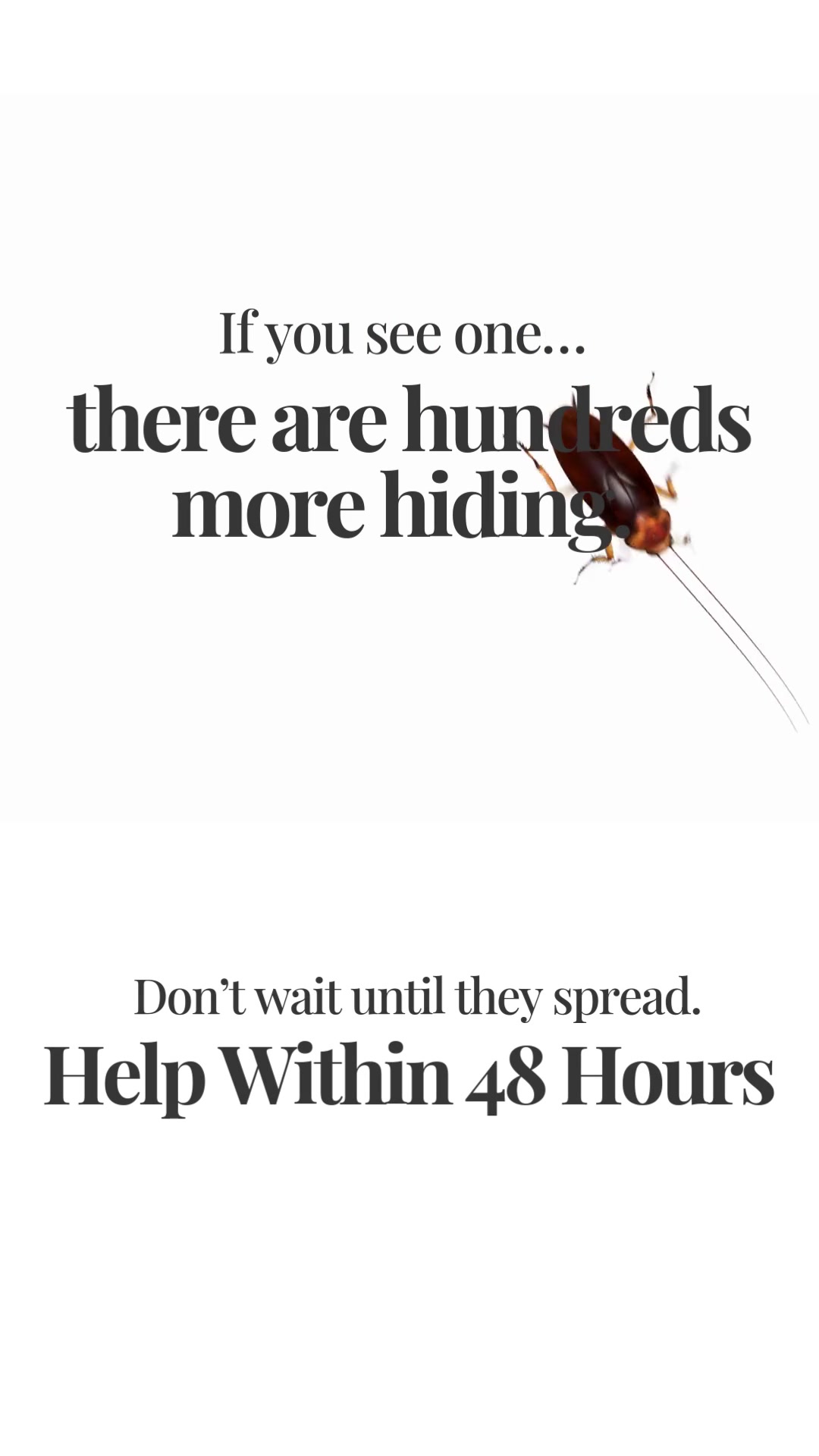 Bugs Gone Now. Barrier Built Tonight.