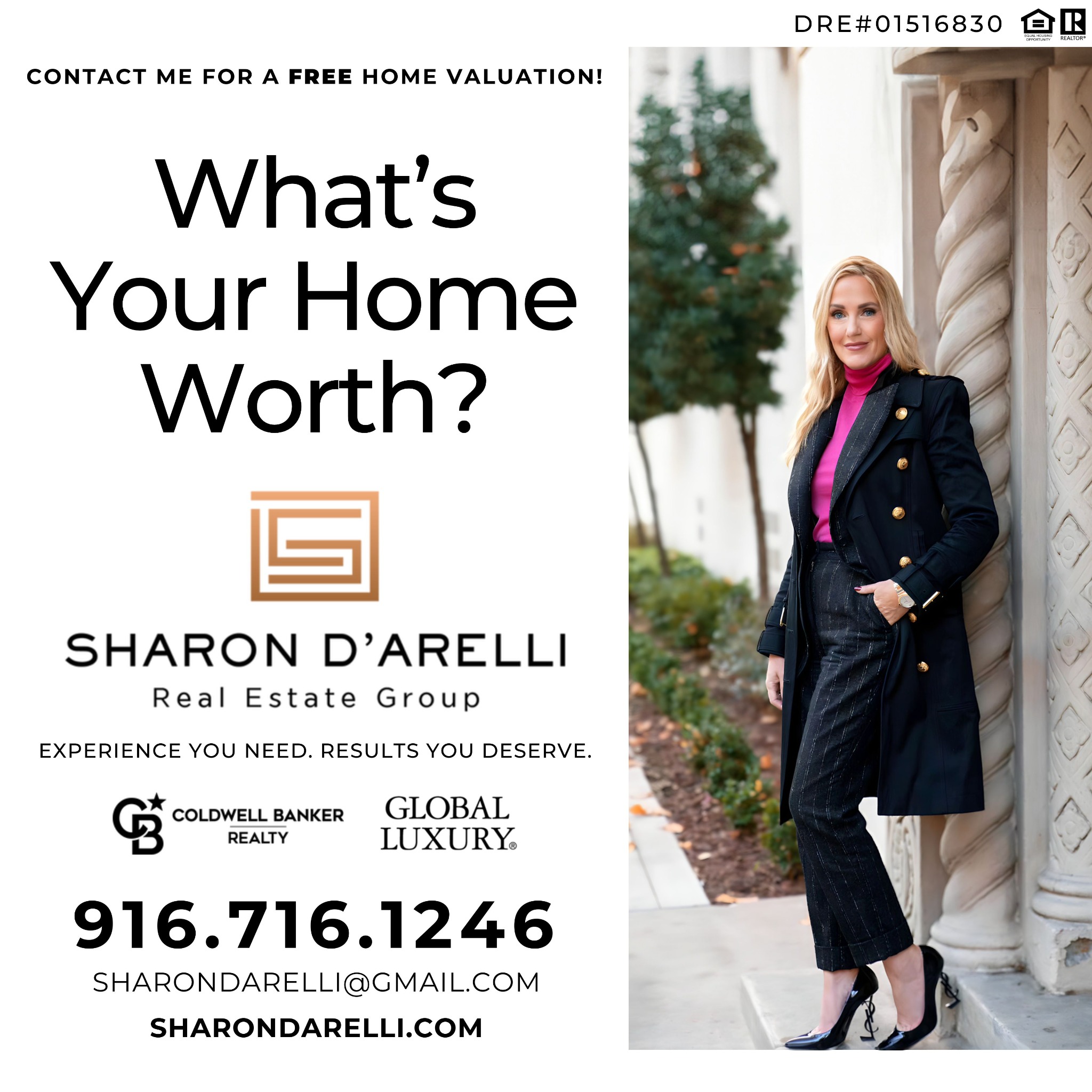 Sharon D'Arelli, Realtor Real Estate Agent ad creative