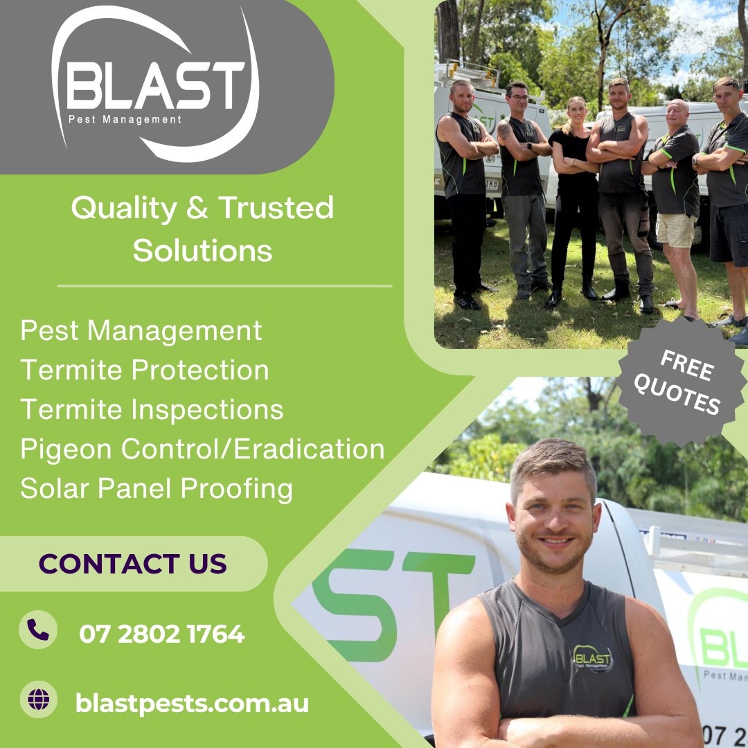 Blast Pest Management Pest Control ad creative