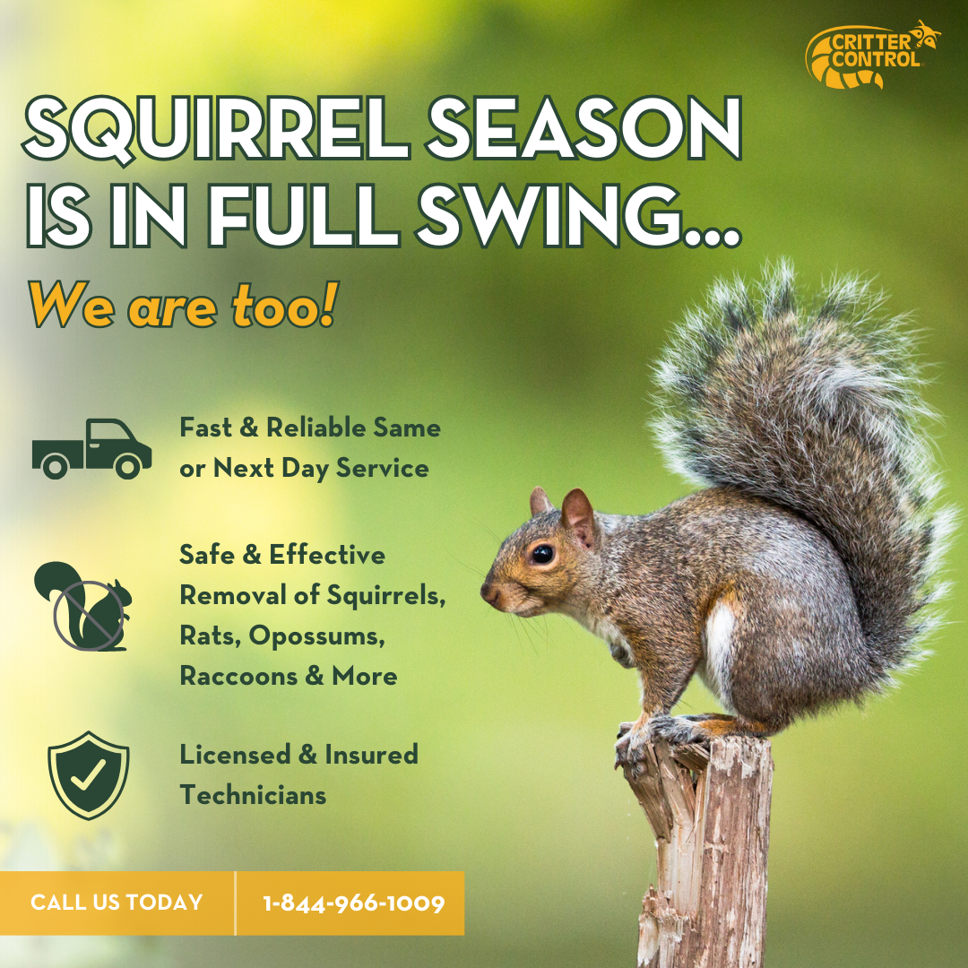 Trusted Wildlife Removal