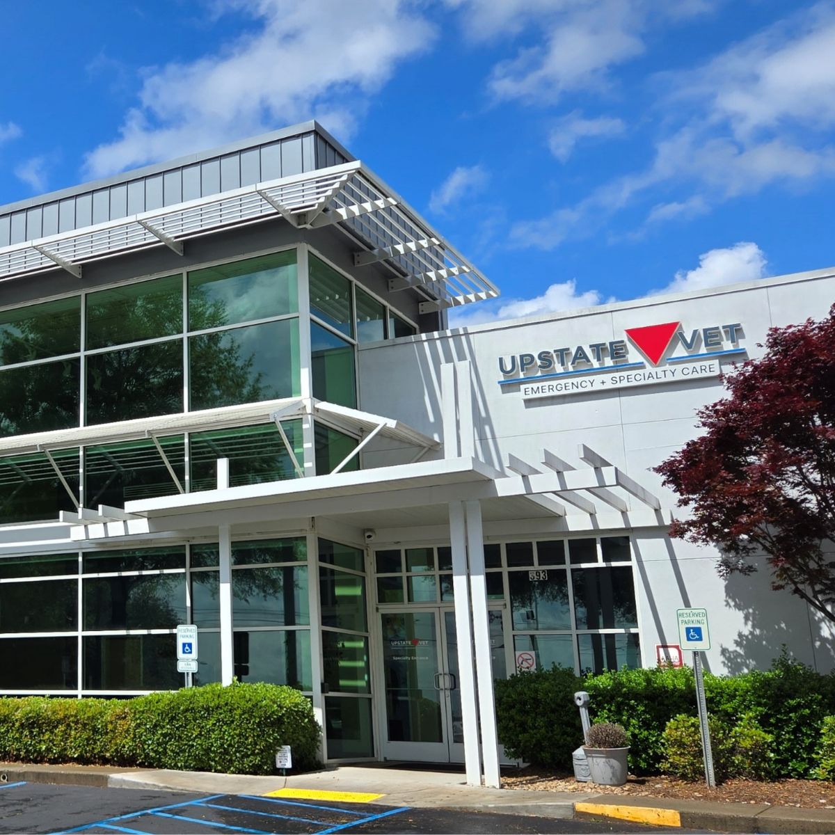 Upstate Vet Emergency + Specialty Care Veterinarian ad creative