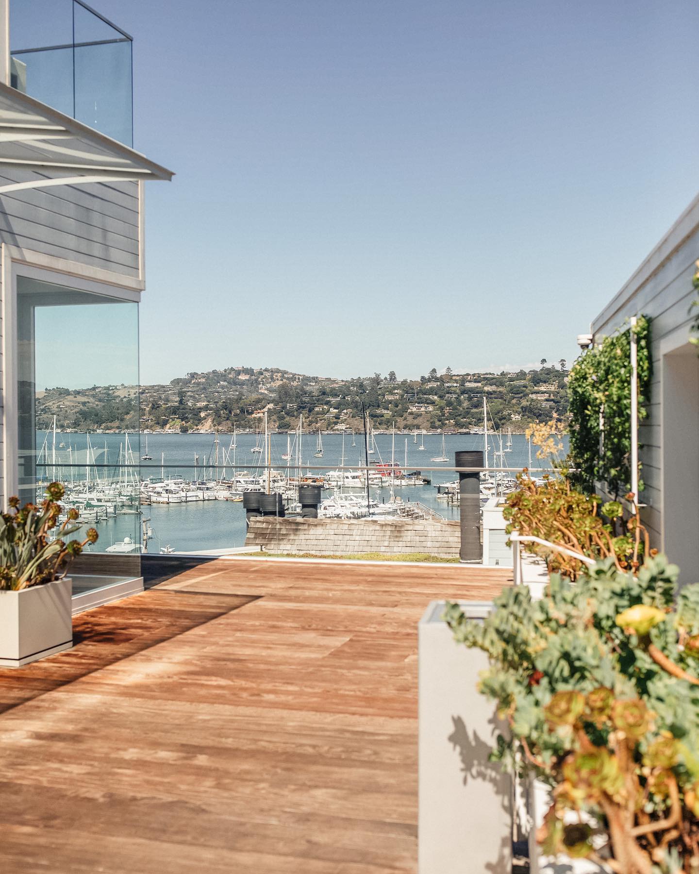 Sausalito Hotels | Casa Madrona Hotel & Spa