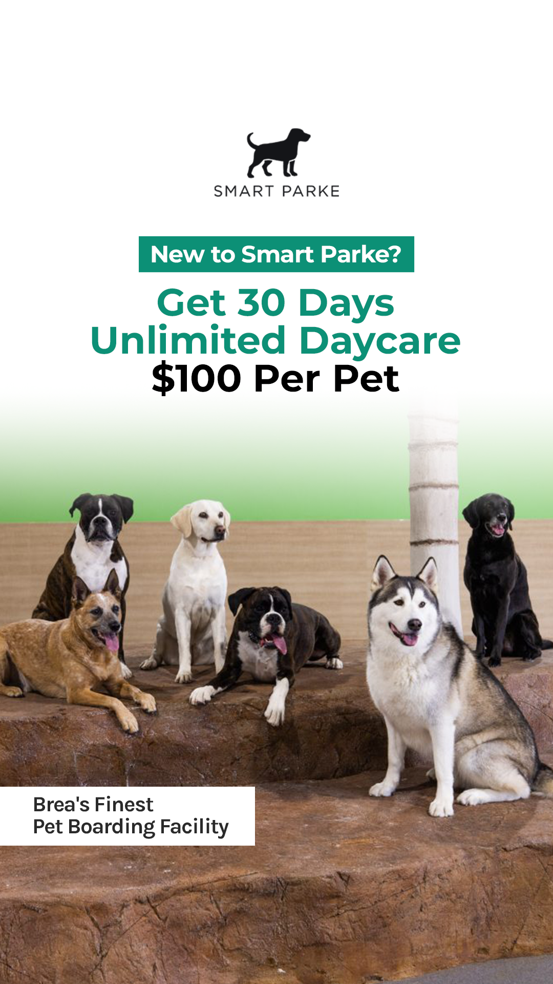 Smart Parke Pet Boarding ad creative