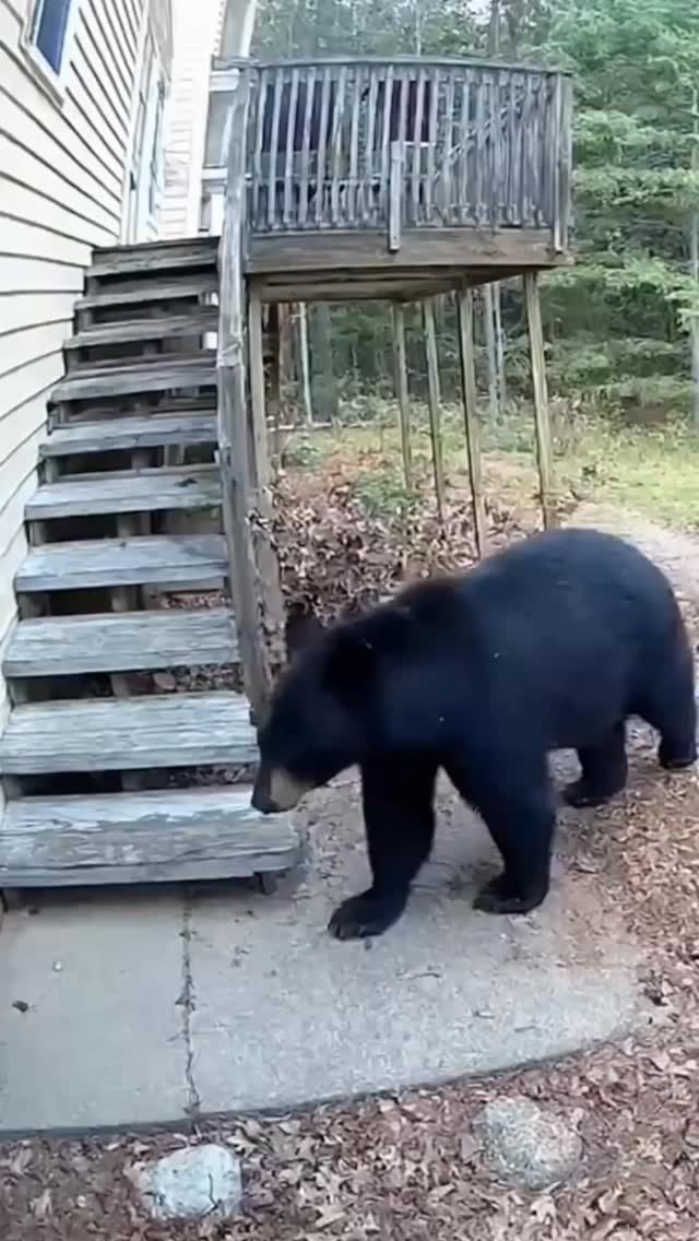 Get your inspection today