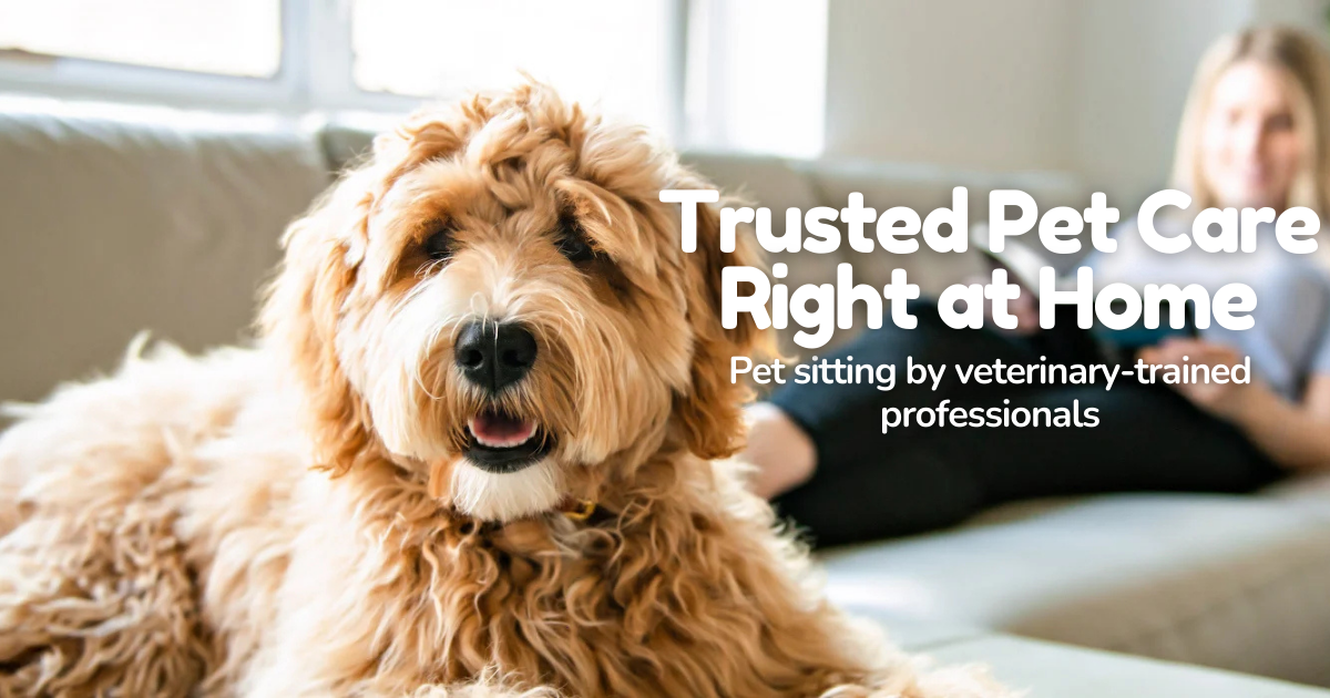 Veterinary Pet Sitting