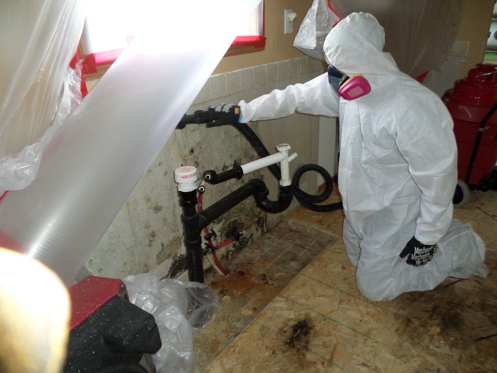 Elkmont Estimates Water Damage Restoration ad creative