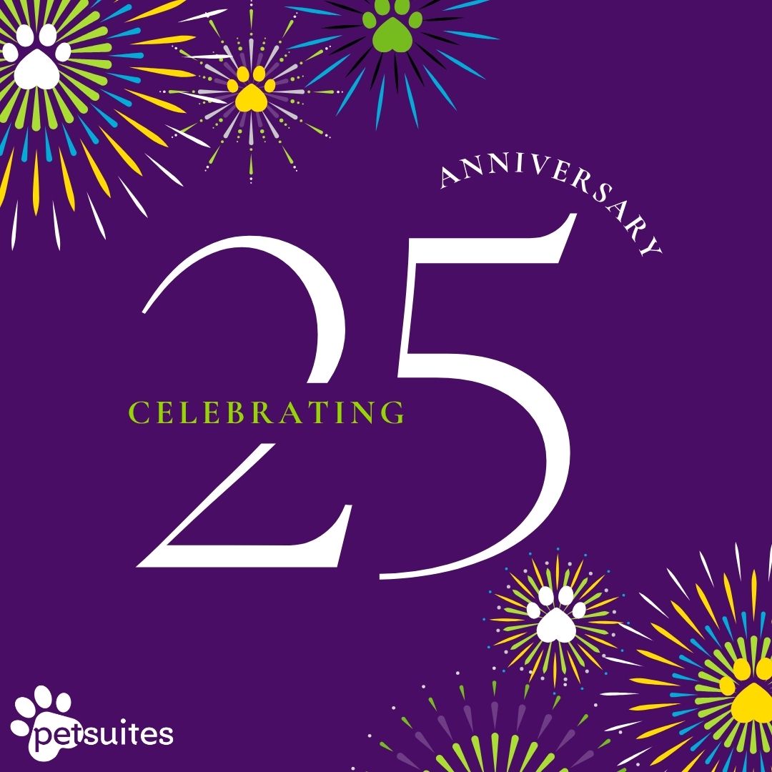 PetSuites Spring Rayford Pet Boarding ad creative