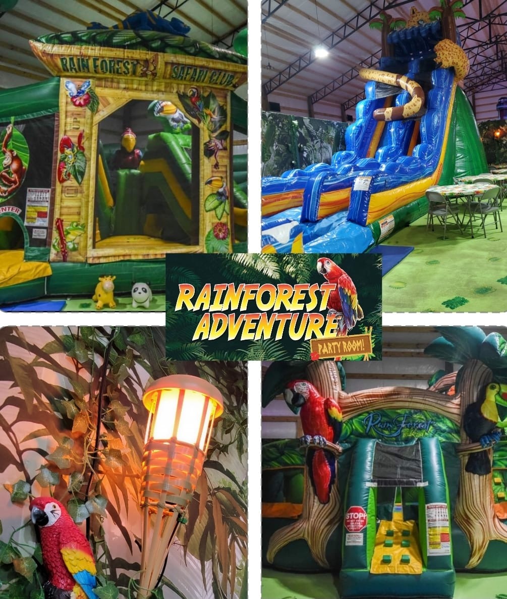 Bouncers Inflatable Rentals