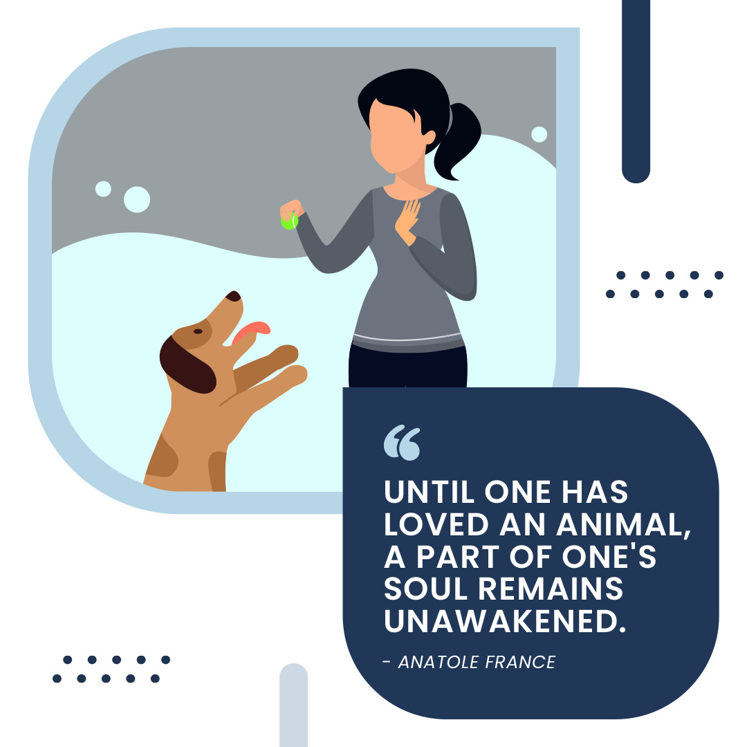 Pet Passages - Charlotte, NC